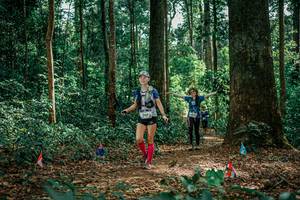 BIB: 
                            <button type="button" onclick="openModal(26135571)" class="btn btn-primary btn-sm float-right btn-popup" data-toggle="modal" data-target=".modal-high-quality">
                        <i class="fas fa-shopping-cart"></i> Add to Cart
                    </button>
                                            <button type="button" onclick="isThisMe(26135571, true)" class="btn btn-success btn-sm float-right btn-popup btn-isme hidden" data-toggle="tooltip" data-placement="bottom" title="นี่คือรูปของคุณใช่ไหม คลิกที่นี่เพื่อเอาเข้าอัลบั้ม">
                        <i class="fas fa-plus"></i> Add to album
                    </button>
                    <button type="button" onclick="isThisMe(26135571, false)" class="btn btn-warning btn-sm float-right btn-popup btn-isnotme hidden">
                        <i class="fas fa-ban"></i> Remove from album
                    </button>